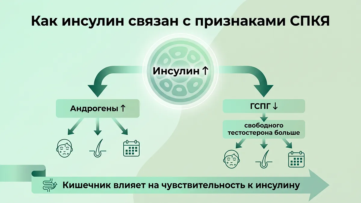 Как инсулин связан с признаками СПКЯ