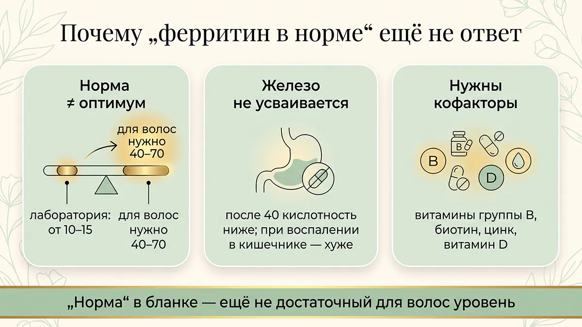 Почему «ферритин в норме» ещё не ответ