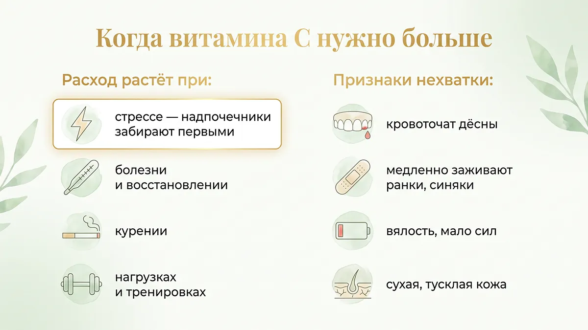 Когда витамина С нужно больше и признаки нехватки