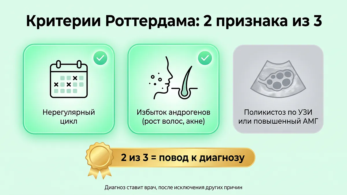 Критерии Роттердама: 2 признака из 3 для диагноза СПКЯ